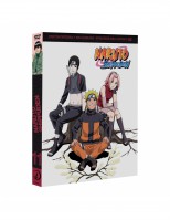 Naruto shippuden box11 268 a 295 - DVD